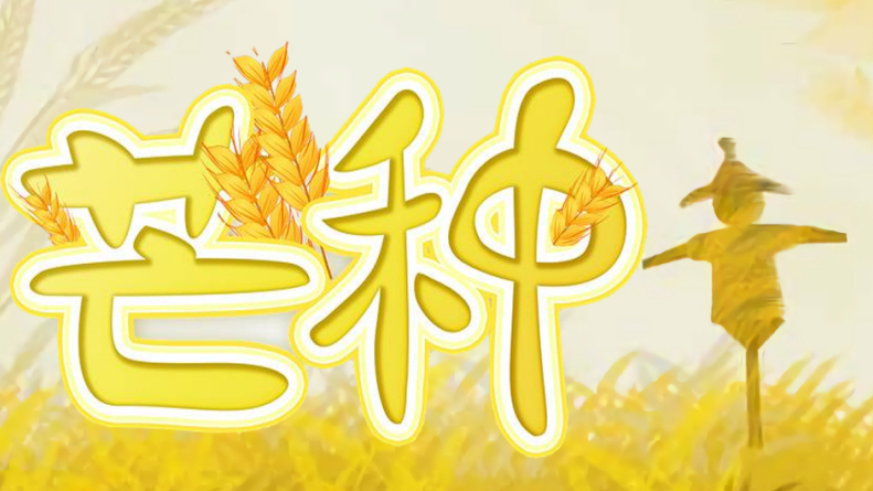 【竾颜音】芒种(又御又超甜翻唱,召唤好听机器人)